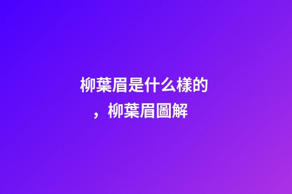柳葉眉是什么樣的，柳葉眉圖解